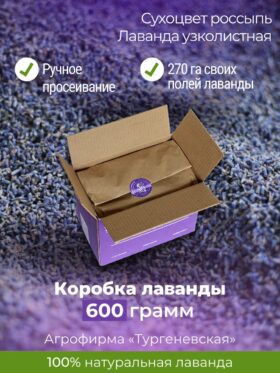 Сухоцвет Россыпь Лаванда 600г (премиум качество) Урожай 2025